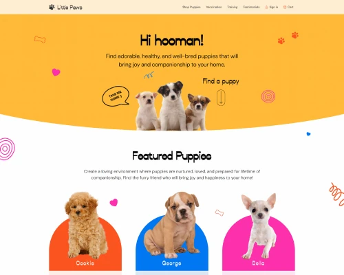 Real Estate Website Design
